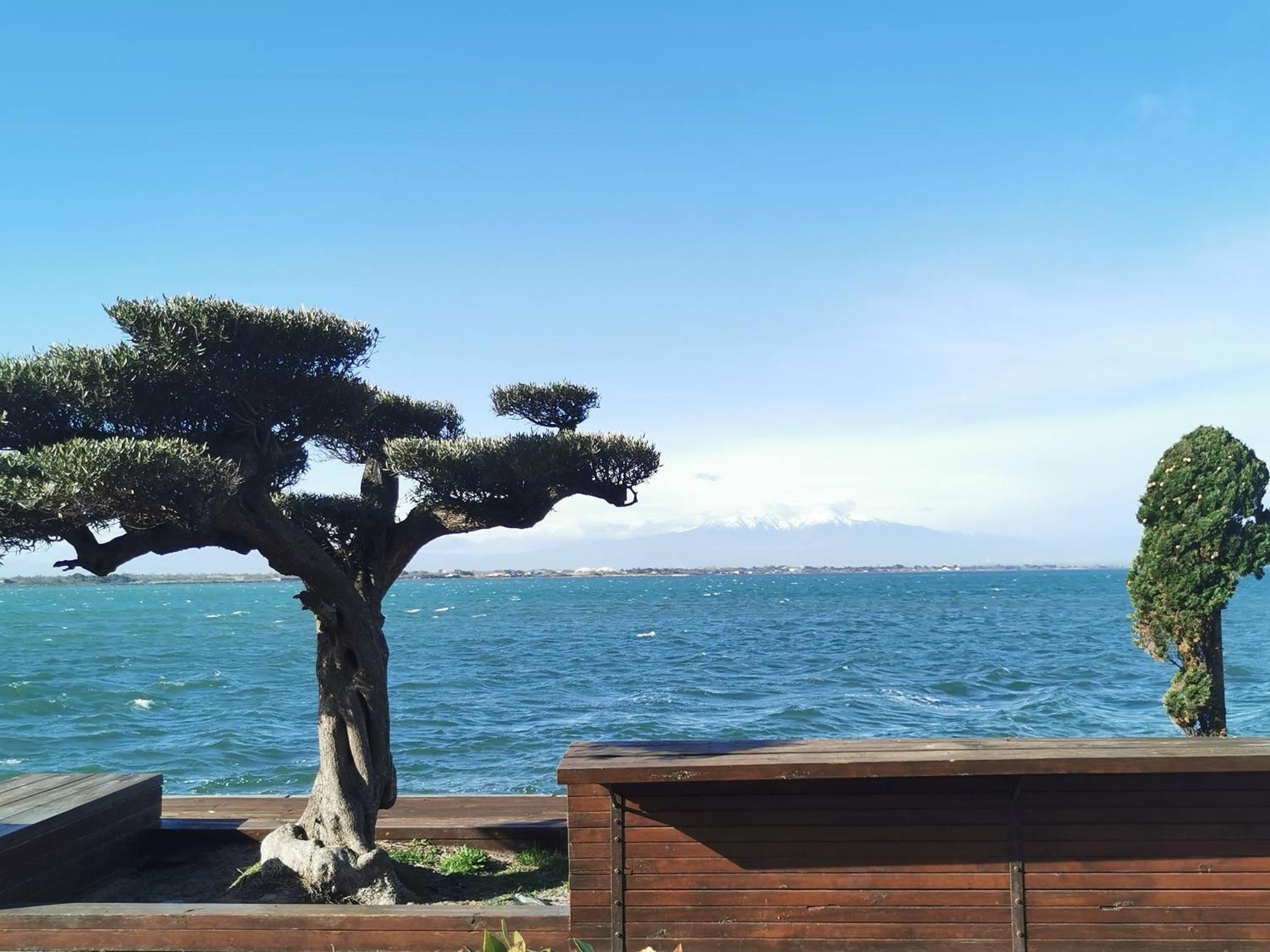 Appartement Cosy Sur La Presqu'Ile De Cap Coudalere Avec Piscine Ouverte Et Chauffee Le Barcarès Exterior foto